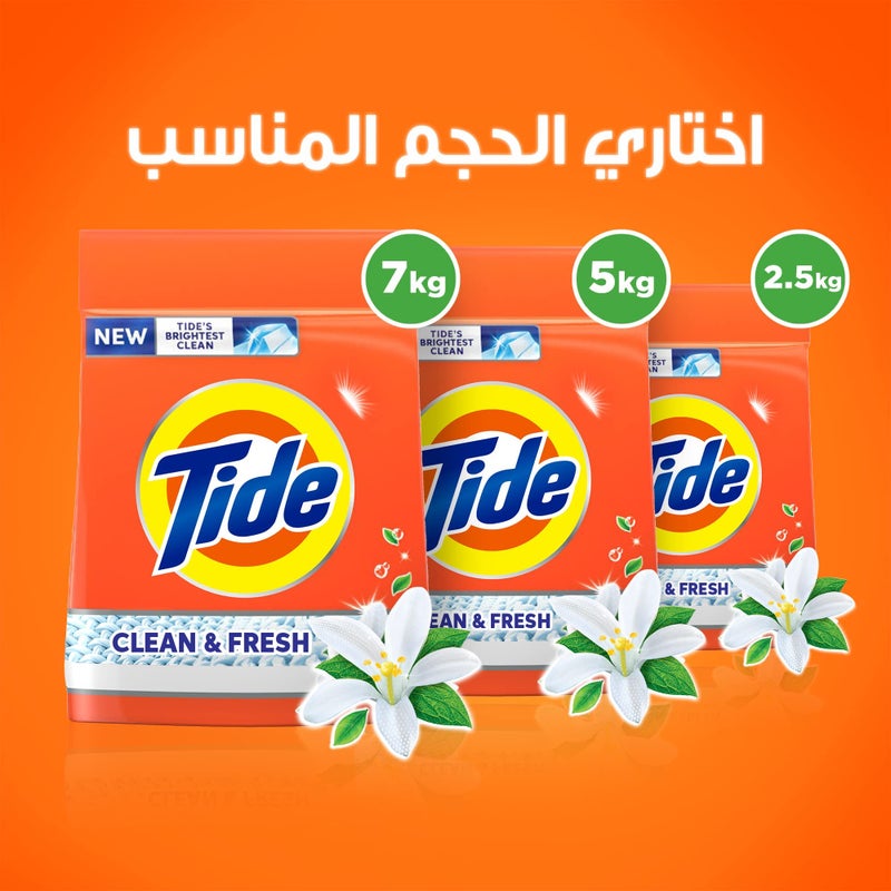 Tide automatic powder touch of downy scent 5 kilogram - Image 5