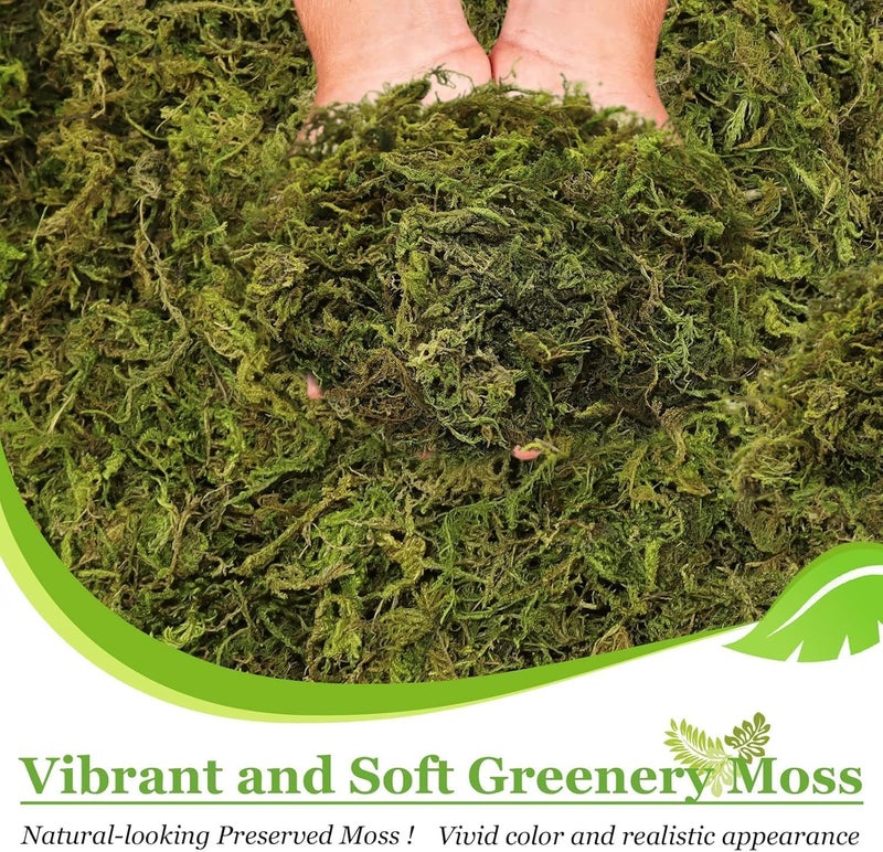 Riare 2.6LBS Artificial Fake Moss for Fake Plants Indoor- Premium Faux Craft Moss for Potted Plant, Fresh Forest Green for Hamsters Micro-Landscape Terrariums Centerpieces Decor - Image 3