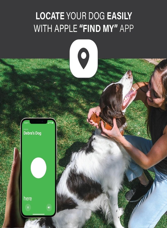 ألبيون طوق كلاب مزود بحامل AirTag من Apple - طوق كلاب جلدي مع حامل AirTag من Apple - أطواق ذكية للكلاب - طوق كلاب مزود بنظام تحديد المواقع العالمي (GPS) - طوق كلاب مع حامل AirTag (صغير، أسود) - Image 4
