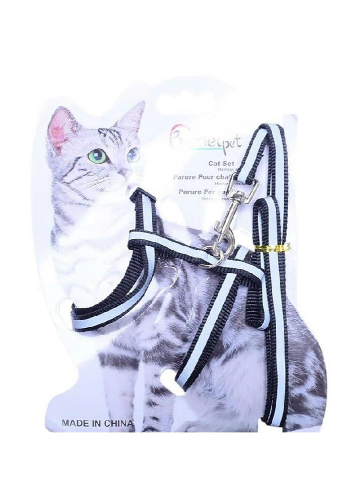 black leash and harness for pets
