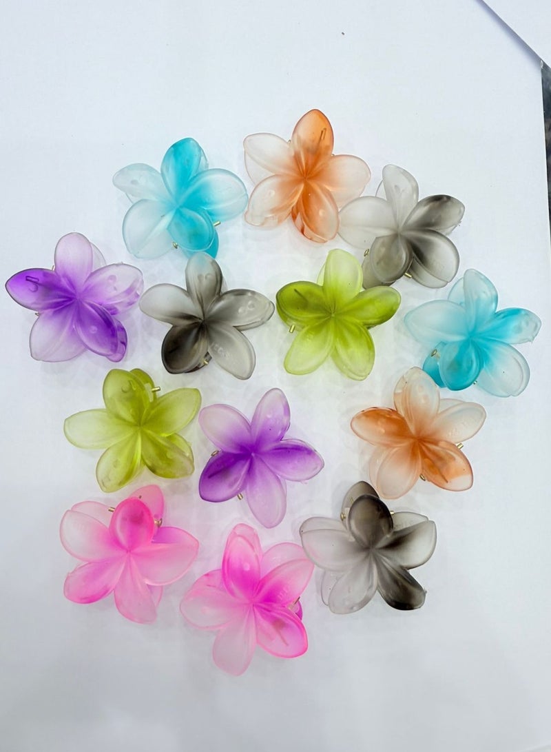 Star Beja flora flower hair clip multi colour 12 pieces - Image 2