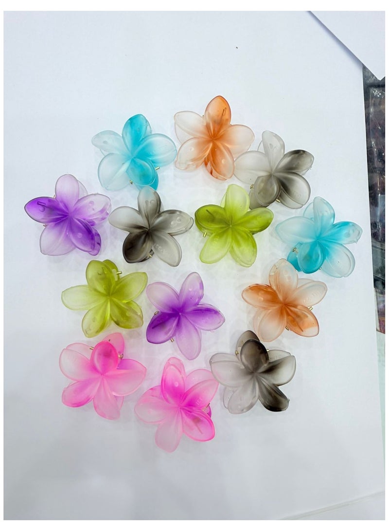 Star Beja flora flower hair clip multi colour 12 pieces - Image 4