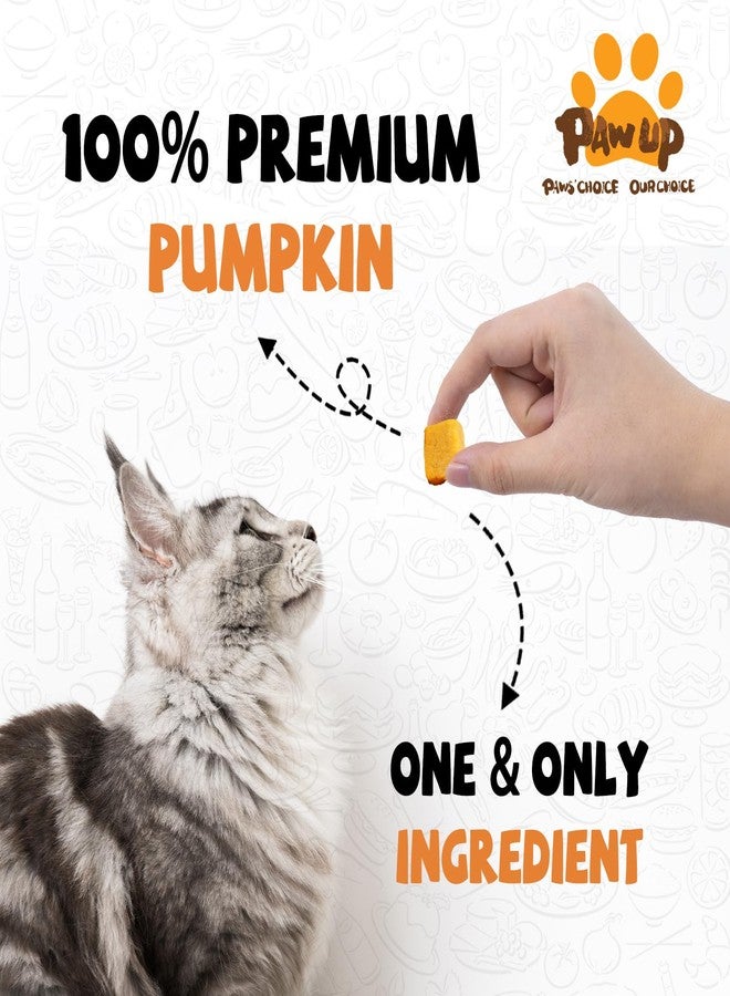 PAWUP مكافآت اليقطين المجففة بالتجميد من باوب للكلاب والقطط - غنية بالألياف، وجبات خفيفة طبيعية بمكون واحد لتحسين الهضم وصحة الأمعاء، إضافات صحية للطعام، 1.58 أونصة - Image 2
