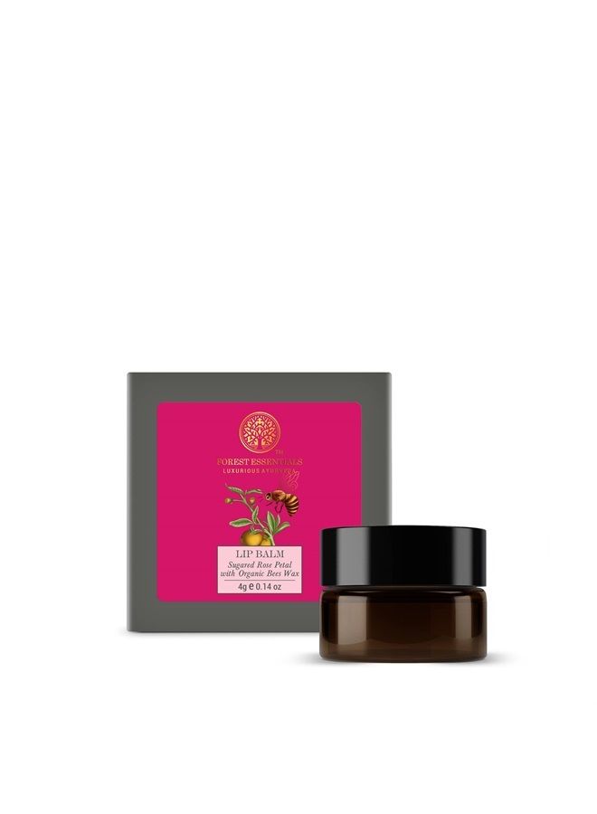 Forest Essentials بلسم الشفاه اللذيذ برائحة بتلات الورد المحلاة بالسكر، 4 جرام - Image 1