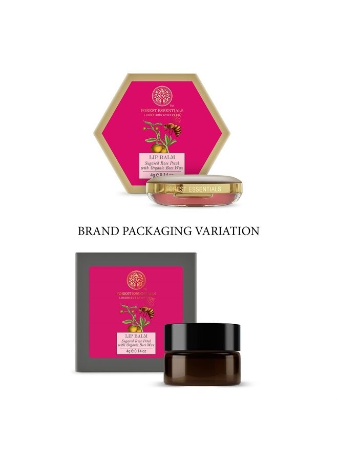Forest Essentials بلسم الشفاه اللذيذ برائحة بتلات الورد المحلاة بالسكر، 4 جرام - Image 4