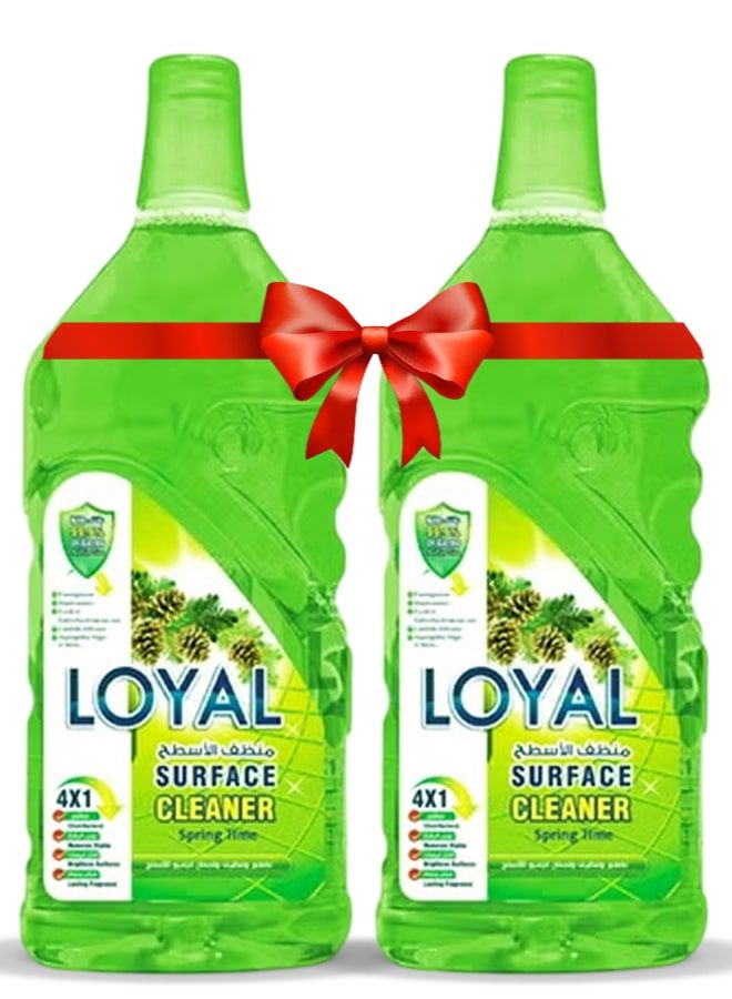 لويال منظف ​​أسطح 2 × 800 مل - ربيع - Image 1