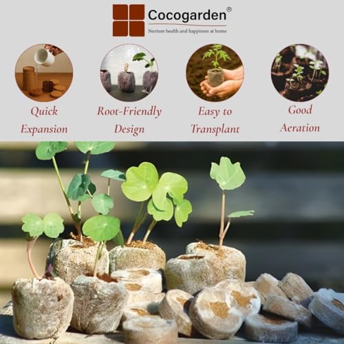 Cocogarden Coir Seed Germination Kit for Gardening with Netted Root Plug, Cocopeat Coin, Coco Pellets, Coin, Disc (Pack of 25) - Image 4