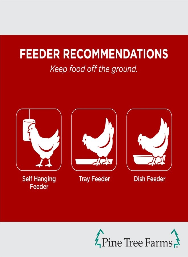 Pine Tree Farms Hen Pecked Classic Seed Log - Includes Chicken Treats with Mealworms & Peanuts for Chickens, Turkeys, Ducks, and Poultry, 28 oz (3 Pack) - Image 4