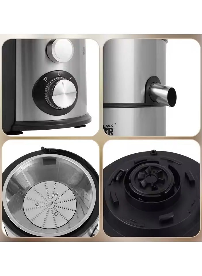 Winning Star Winning Star 800W 4-in-1 Multifunctional Blender & Juice Extractor | Slow Masticating Juicer Machine  - Image 4