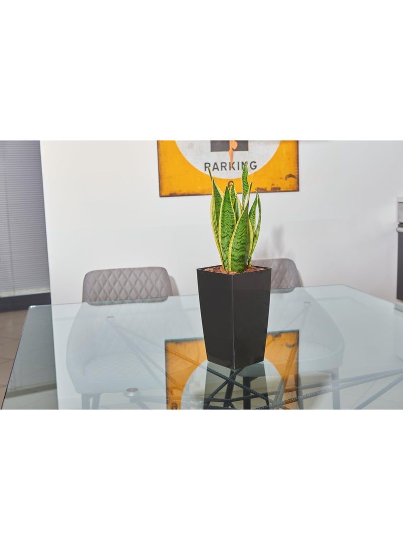 Idel Tall Square Planter – 15x15cm Decorative Flower Pot for Indoor & Outdoor Plants – Modern Plastic Plant Container for Home & Garden by Idel - Image 2