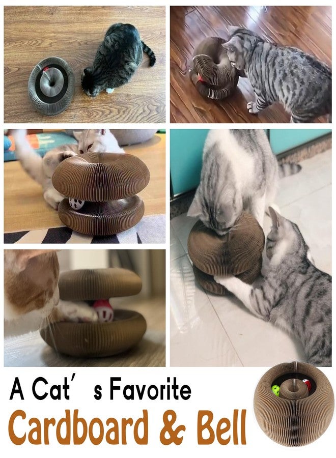Dosanlues Magic Organ Cat Scratcher Board with 2 Bell Ball, Cat Ball Adventure The Ultimate Interactive Mental Physical Exercise for Indoor Cats Toy - Image 2