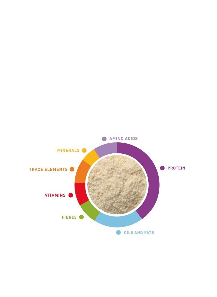 Baby Patee Universelle Bird Food 250 gm
