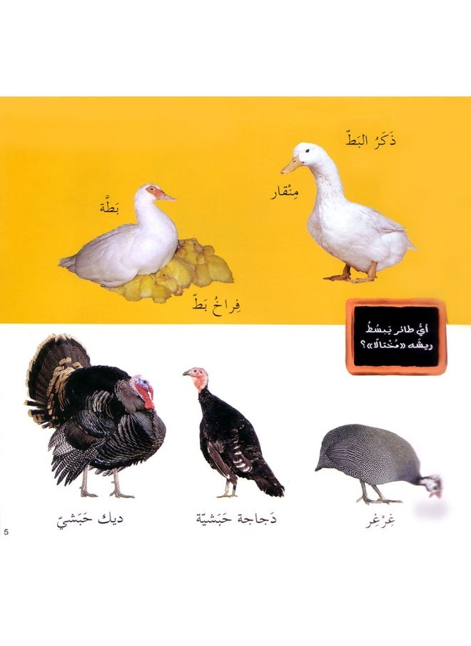 null - Lebanon Library كلماتى المصورة الحيوانات - Image 1