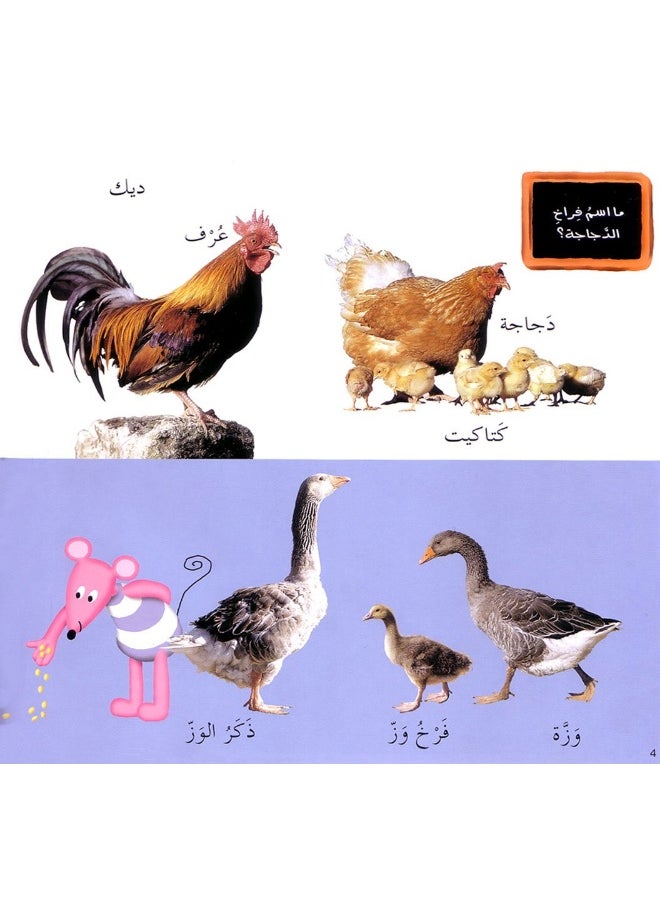 null - Lebanon Library كلماتى المصورة الحيوانات - Image 1