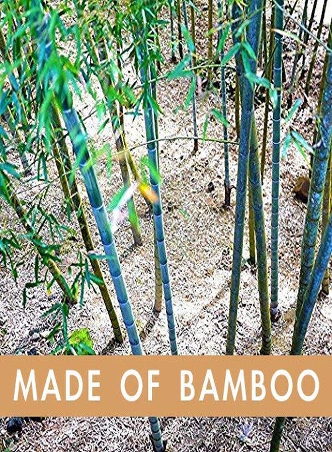 Laboos Best Nature Manual Color Bamboo Toothbrush - Extra Soft Compact Bristle, Biodegradable for Gingivitis and Sensitive Teeth (4 PCS) - Image 5