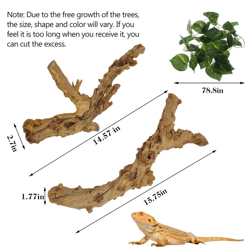 VCEPJH 2 Pack Reptile Wood Branches, Snake Climbing Branch Natural Bearded Dragon Log Tank Accessories Tree Trunk for Chameleon Gecko Snake Frog Spider - Image 3