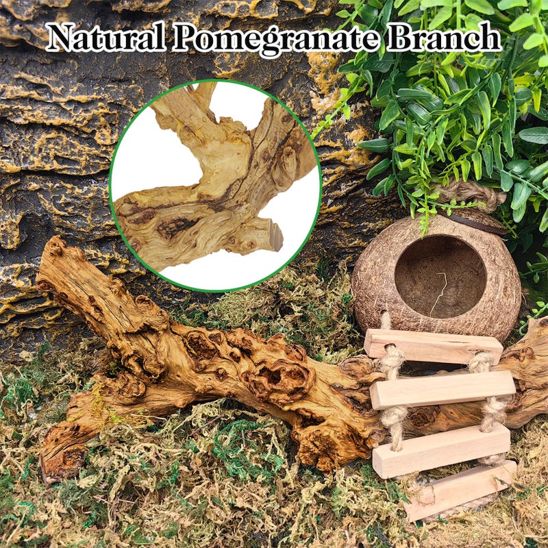 VCEPJH 2 Pack Reptile Wood Branches, Snake Climbing Branch Natural Bearded Dragon Log Tank Accessories Tree Trunk for Chameleon Gecko Snake Frog Spider - Image 4