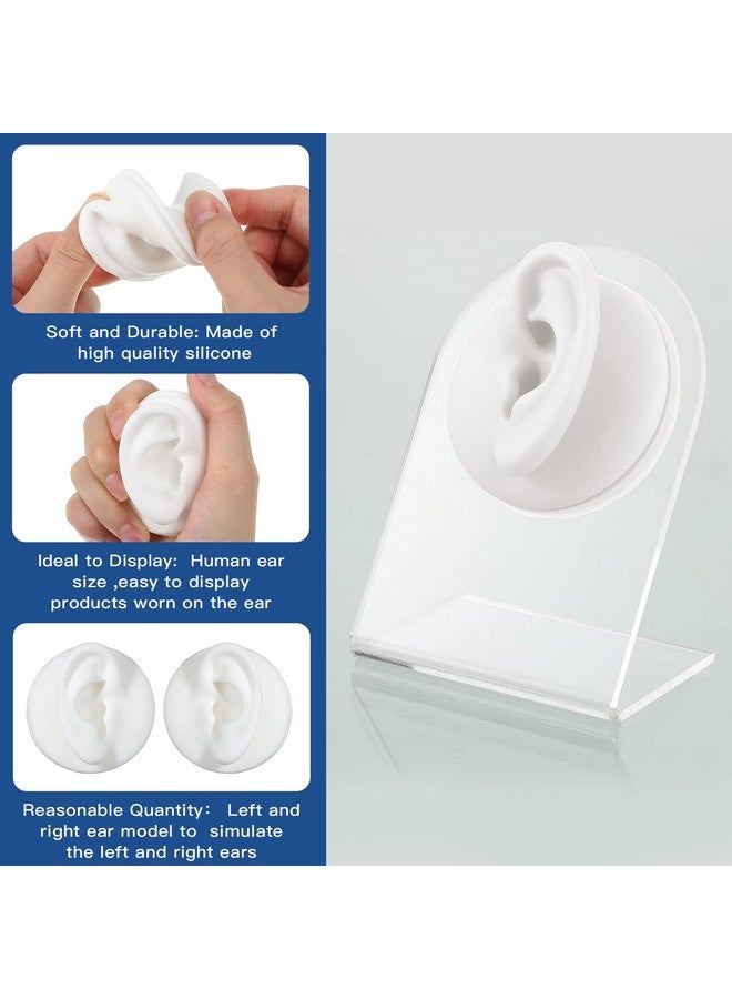 Cindeer 10 Sets 40 Pieces 4 Layer Stackable Cosmetic Containers With Screw Lids, 10G/10Ml Stackable Clear Bead Storage Containers Round Plastic Containers For Beads, Buttons, Jewelry - Image 3