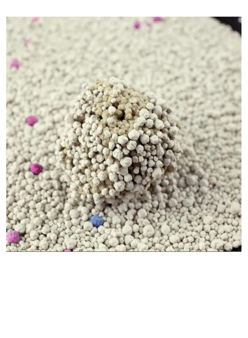 Generic Bentonite Cat Litter 10L Apple Scented  - Image 3