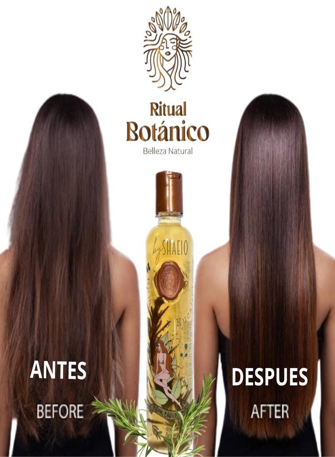 SHAEIO RITUAL BOTANICO Shampoo de Romero y Eucalipto con Activo de Crecimiento Acelerado | Control grasa disminuye la caida del Cabello, Engrosamiento, Brillo y Suavidad - Rosemary Shampoo - Image 2