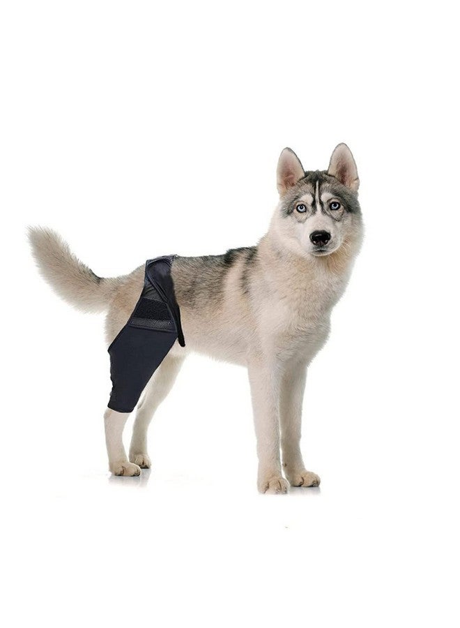 balacoo to Support Leg Sleeve Acl Pain and Reduces Knee Injury Cover Hindleg Wounds Wrap Cap Pet Care Dislocation Recovery Brace Post for Xxcm Suit Pets Canine Puppy Foreleg - Image 5