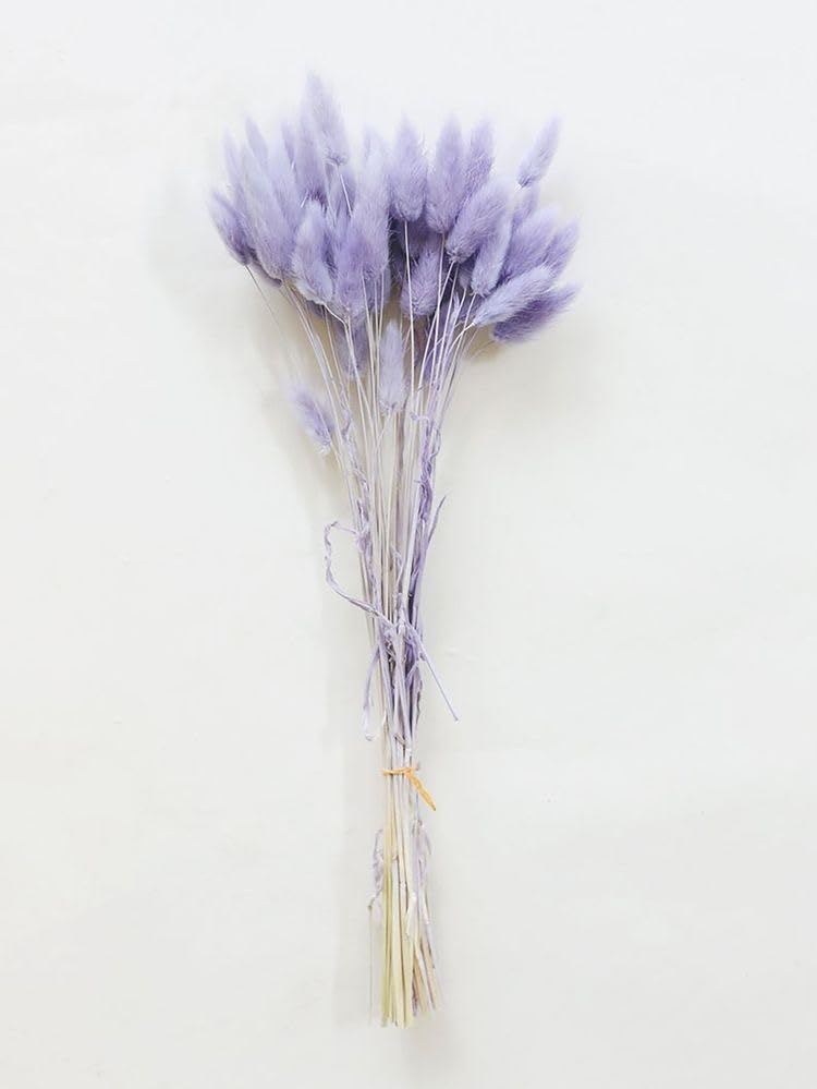 CLOUD INDIA Tail Dried Pampas Grass (50-60 Stems) for Home & Office Decor Natural Dried Pampas Grass, Decoration - Boho, Wedding Flower Arrangement, Home Decor (Purple) - Image 4