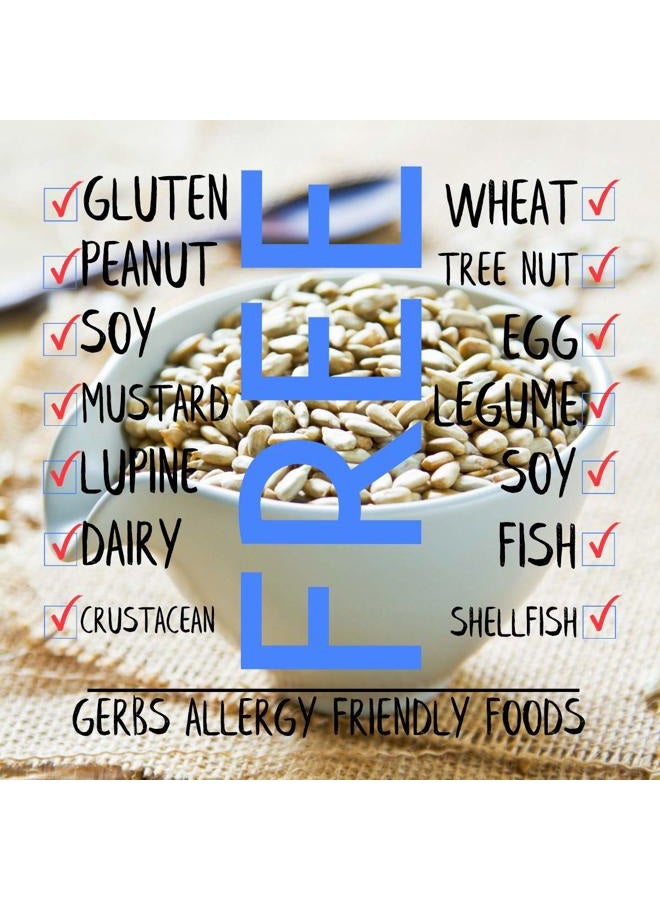 GERBS Lightly Sea Salted Sunflower Seed Kernels by Gerbs - 2 LBS - Top 11 Food Allergen Free & Non GMO - Premium Dry Roasted Seeds – COG USA - Image 2