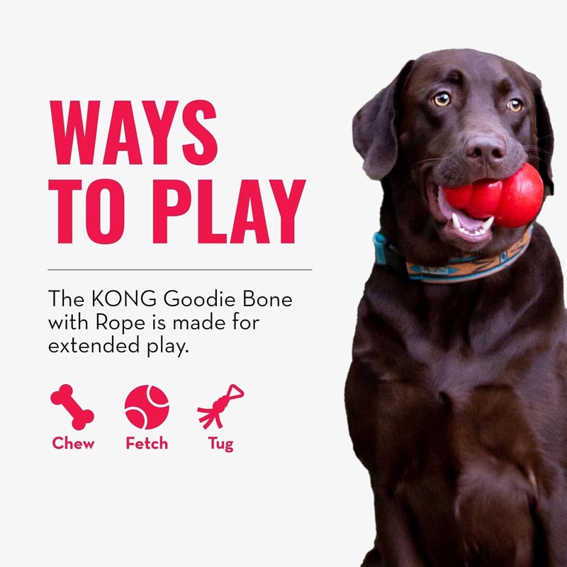 KONG Puppy Goodie Bone with Rope - Teething Rubber and Teeth Cleaning Dog Toy for Extra Small Puppies - Image 4
