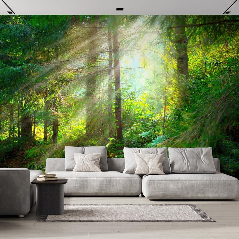 wall26 wall26 - Beautiful Forest Wallpaper- Canvas Art Wall Mural Decor - [144 in x 96 in / 365cm x 243cm / 12ft x 8 ft]  - Image 1