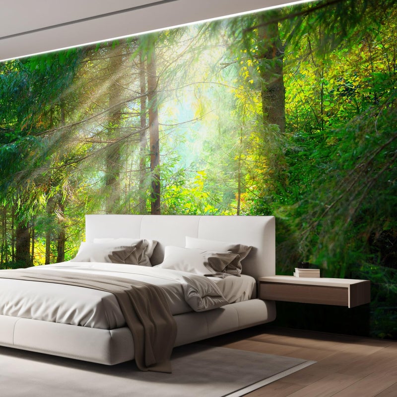 wall26 wall26 - Beautiful Forest Wallpaper- Canvas Art Wall Mural Decor - [144 in x 96 in / 365cm x 243cm / 12ft x 8 ft]  - Image 4