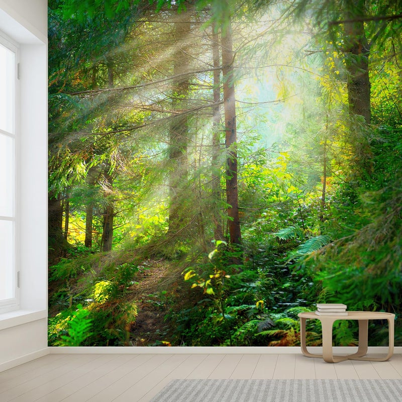 wall26 wall26 - Beautiful Forest Wallpaper- Canvas Art Wall Mural Decor - [144 in x 96 in / 365cm x 243cm / 12ft x 8 ft]  - Image 2