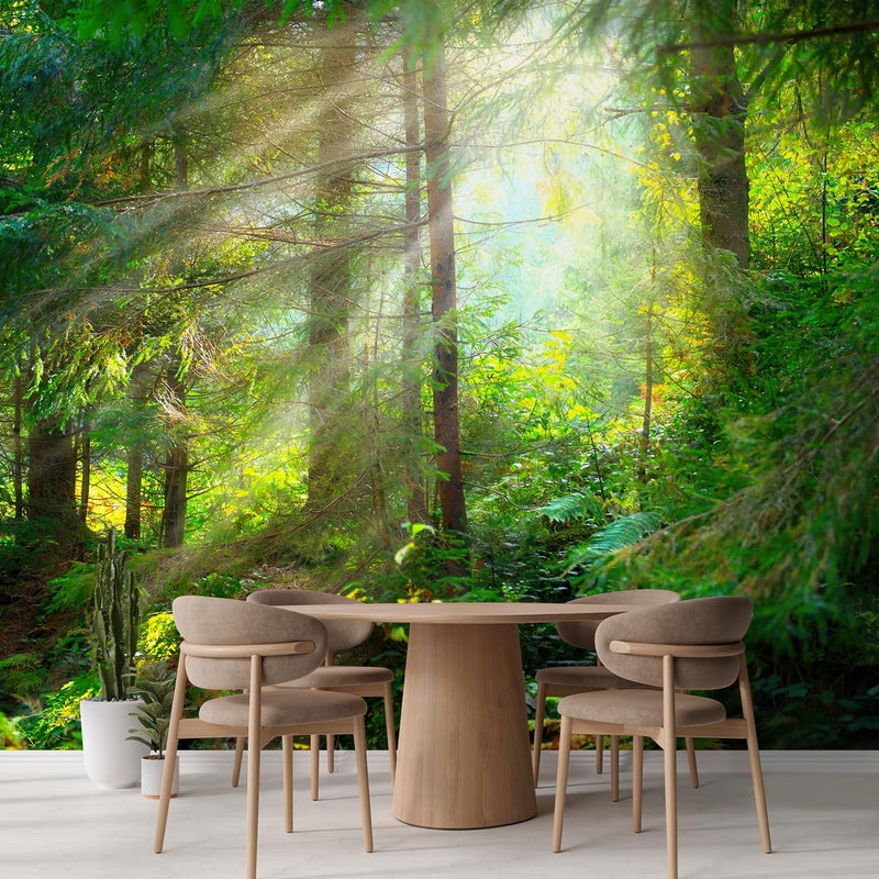 wall26 wall26 - Beautiful Forest Wallpaper- Canvas Art Wall Mural Decor - [144 in x 96 in / 365cm x 243cm / 12ft x 8 ft]  - Image 3