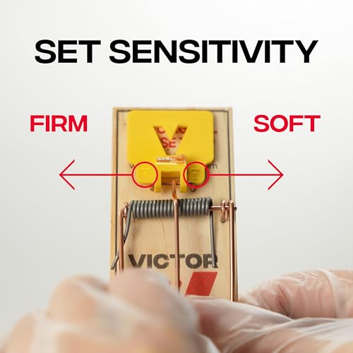 Victor Mouse Traps M035-12, Plastic Pedal, Sustainably Sourced FSC Wood, Wooden Mouse Traps, 12 Pack - Image 5