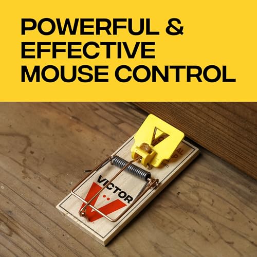Victor Mouse Traps M035-12, Plastic Pedal, Sustainably Sourced FSC Wood, Wooden Mouse Traps, 12 Pack - Image 2