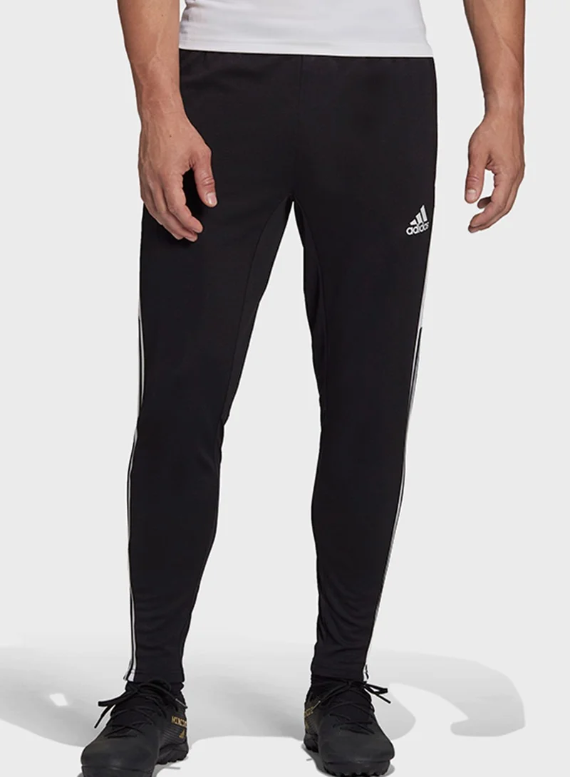 Adidas Condivo22 Sweatpants