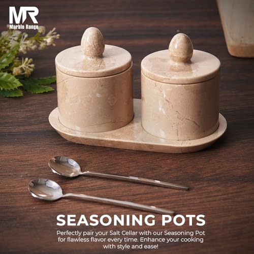 MARBLE RANGE Marble Salt Cellar with Lid and tray 4 Inch Verona Handmade Salt Container, Set of 2 Seasoning Jars, Spice Storage Container for Kitchen countertop, spice jars Sugar bowl - Image 5