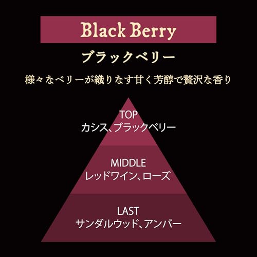 CARALL Seeks Liquid Black Berry Car Air Freshener (160 ml) - Image 3