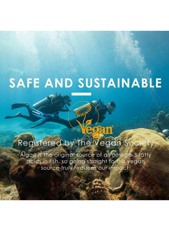 NEVISS Vegan Omega-3 Fish Oil Alternative from Certified Vegan Algae Oil (Made in USA), Sugar Free Omega 3 Supplement W/MethylFolate, Vitamin B12 for Women and Men Support Brain, Eye, Skin, Immune, 60 Cts - Image 3