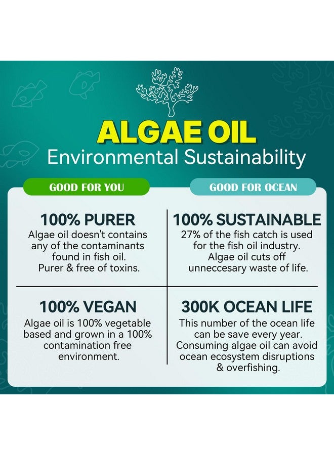 NEVISS Vegan Omega-3 Fish Oil Alternative from Certified Vegan Algae Oil (Made in USA), Sugar Free Omega 3 Supplement W/MethylFolate, Vitamin B12 for Women and Men Support Brain, Eye, Skin, Immune, 60 Cts - Image 4