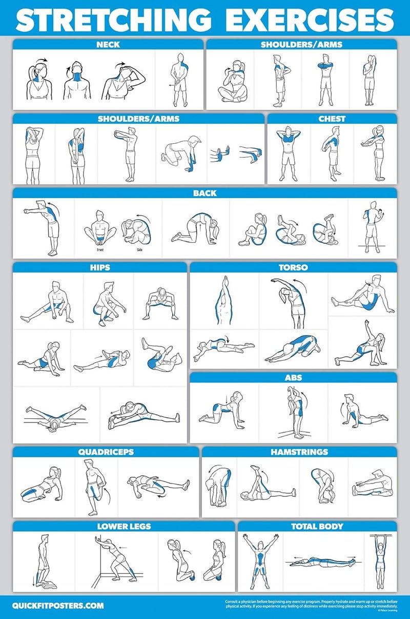 Palace Learning QuickFit 3 Pack - Dumbbell Workouts + Bodyweight Exercises + Stretching Routine Poster Set - Set of 3 Workout Charts (Laminated, 18" x 24") - Image 4