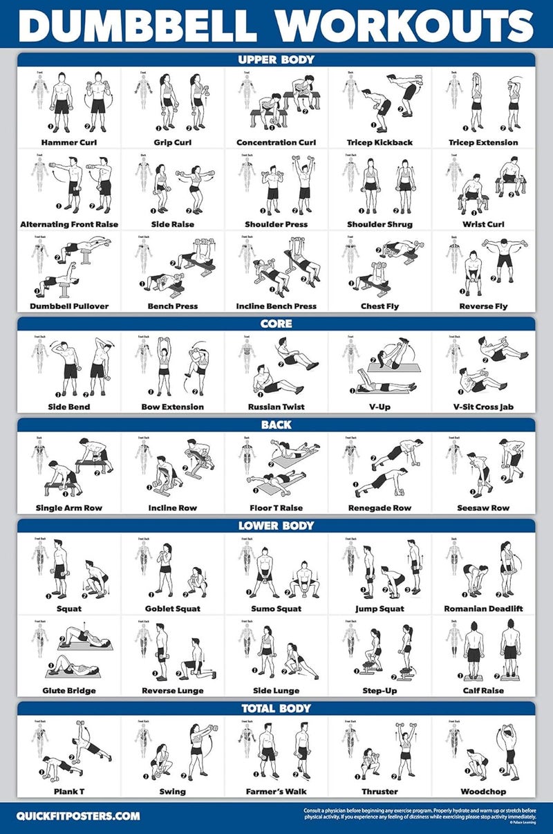 Palace Learning QuickFit 3 Pack - Dumbbell Workouts + Bodyweight Exercises + Stretching Routine Poster Set - Set of 3 Workout Charts (Laminated, 18" x 24") - Image 5