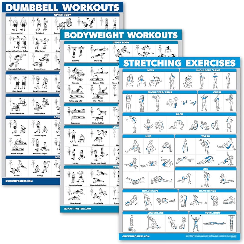 Palace Learning QuickFit 3 Pack - Dumbbell Workouts + Bodyweight Exercises + Stretching Routine Poster Set - Set of 3 Workout Charts (Laminated, 18" x 24") - Image 1