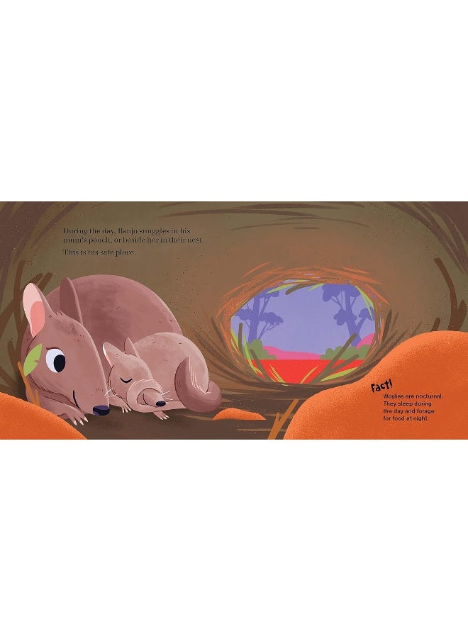 Endangered Animal Tales 4: Banjo, the Woylie with Bounce  - Image 3
