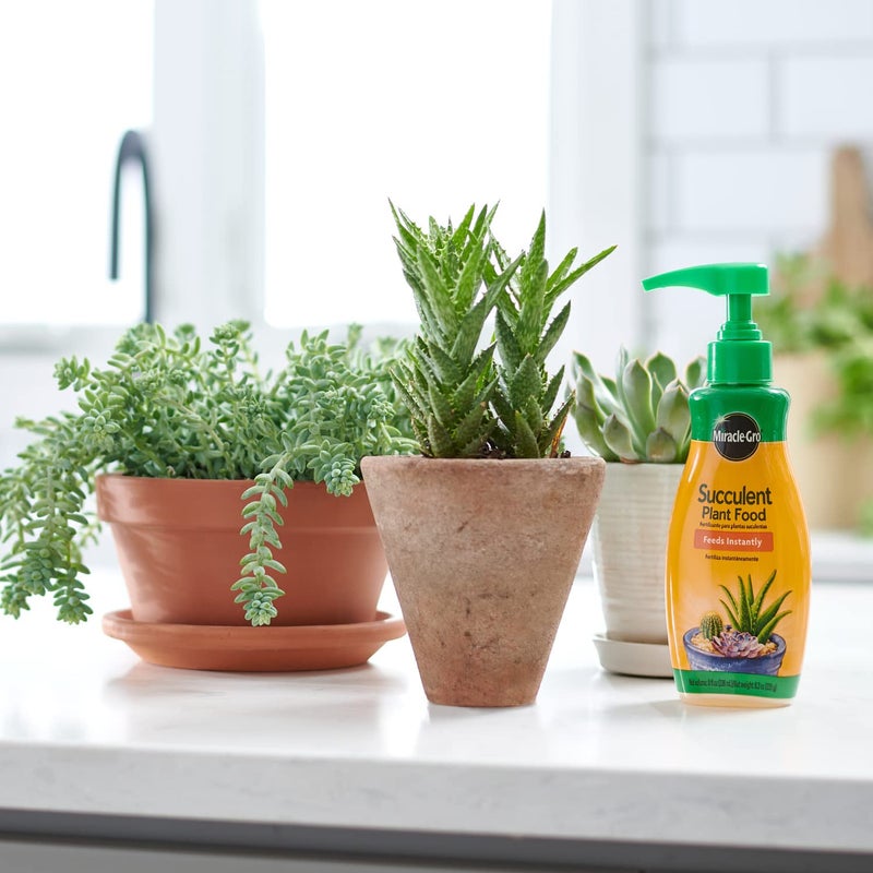 Miracle-Gro Succulent Plant Food, Liquid Plant Food for All Indoor Succulents, Cacti, Jade Plants, Aloe Vera and More, 8 oz. - Image 4