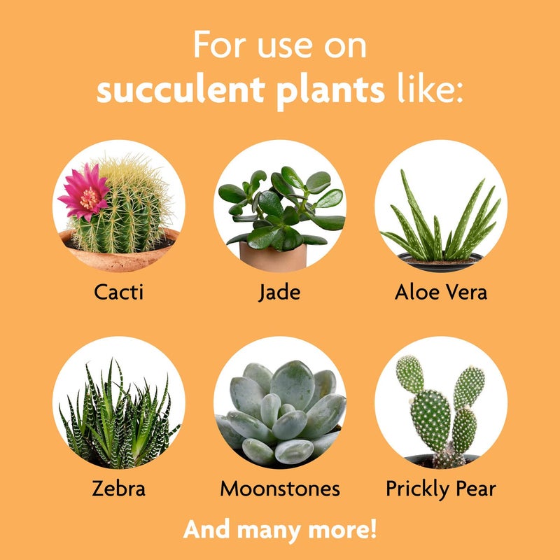 Miracle-Gro Succulent Plant Food, Liquid Plant Food for All Indoor Succulents, Cacti, Jade Plants, Aloe Vera and More, 8 oz. - Image 5