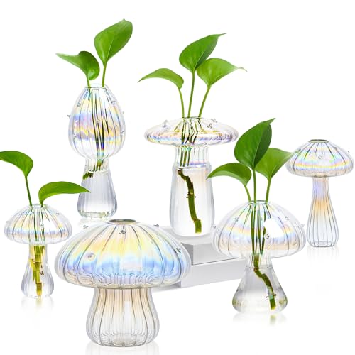 JXWENBYX Plant Propagation Station, Set of 6 Clear Mushroom Vase, Propagation Stations, Small Plant Terrarium, Unique Crystal Mushroom Jars for Plants for Hydroponics Home Garden Office Decoration (Clear) - Image 1