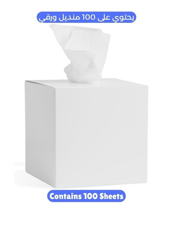 NICE Touch 2 Ply Facial Tissue 100 Sheets in a Cube Box - Contains 100 Premium Quality Soft and Absorbent Tissues - Image 1