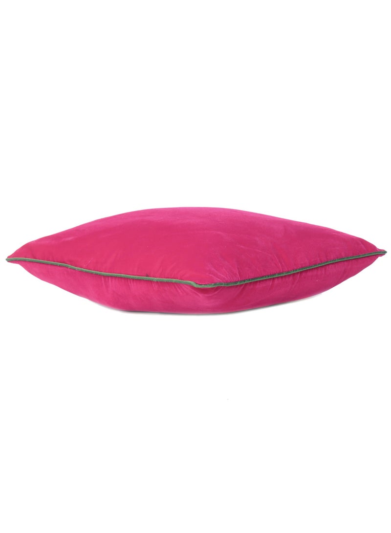 ريارا غطاء وسادة مخملي واقٍ لغرفة المعيشة والحديقة والديكور الخارجي مع سحاب مخفي (16 × 16 بوصة)  - Image 4