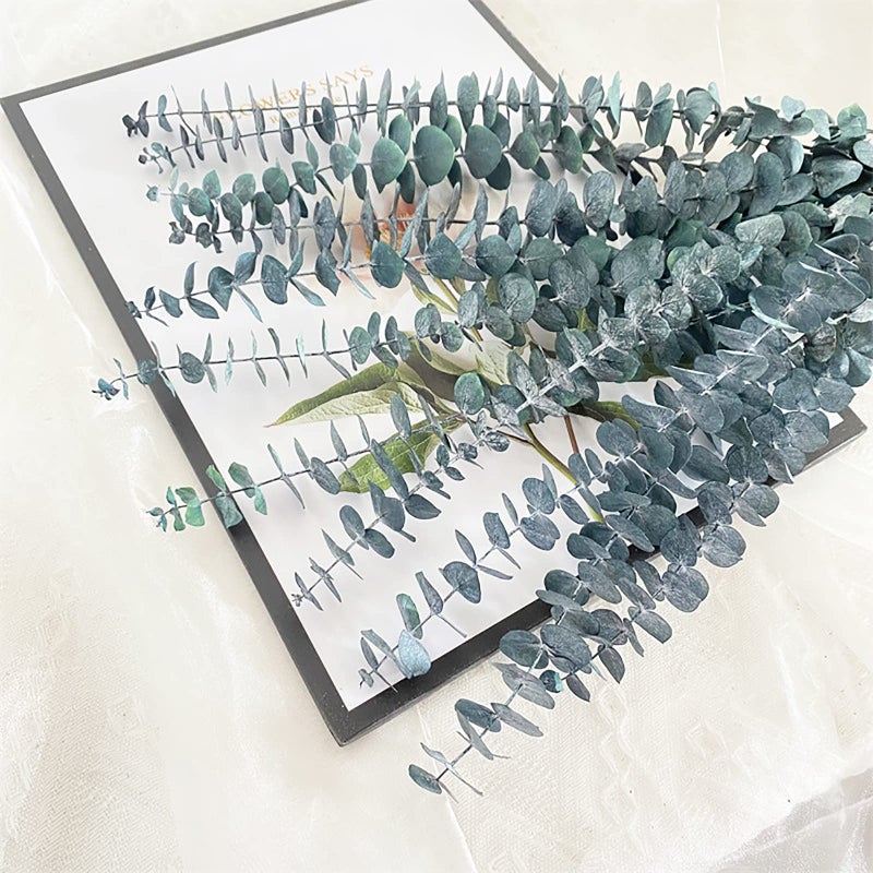 Comtelek Eucalyptus for Shower 10 Pcs Hanging Dried Eucalyptu Stems 17" Real Eucalyptus Bundle 100% Made from Fresh Eucalyptu Wedding Decor Home Decor Farmhouse Room Decor DIY Artificial Plants Flowers - Image 2
