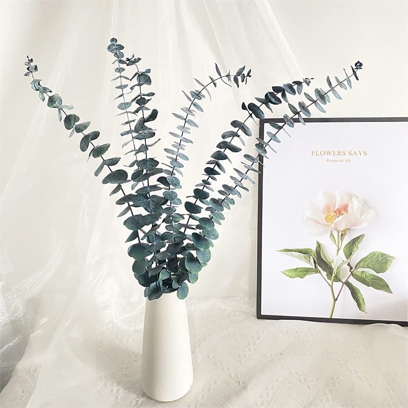 Comtelek Eucalyptus for Shower 10 Pcs Hanging Dried Eucalyptu Stems 17" Real Eucalyptus Bundle 100% Made from Fresh Eucalyptu Wedding Decor Home Decor Farmhouse Room Decor DIY Artificial Plants Flowers - Image 5